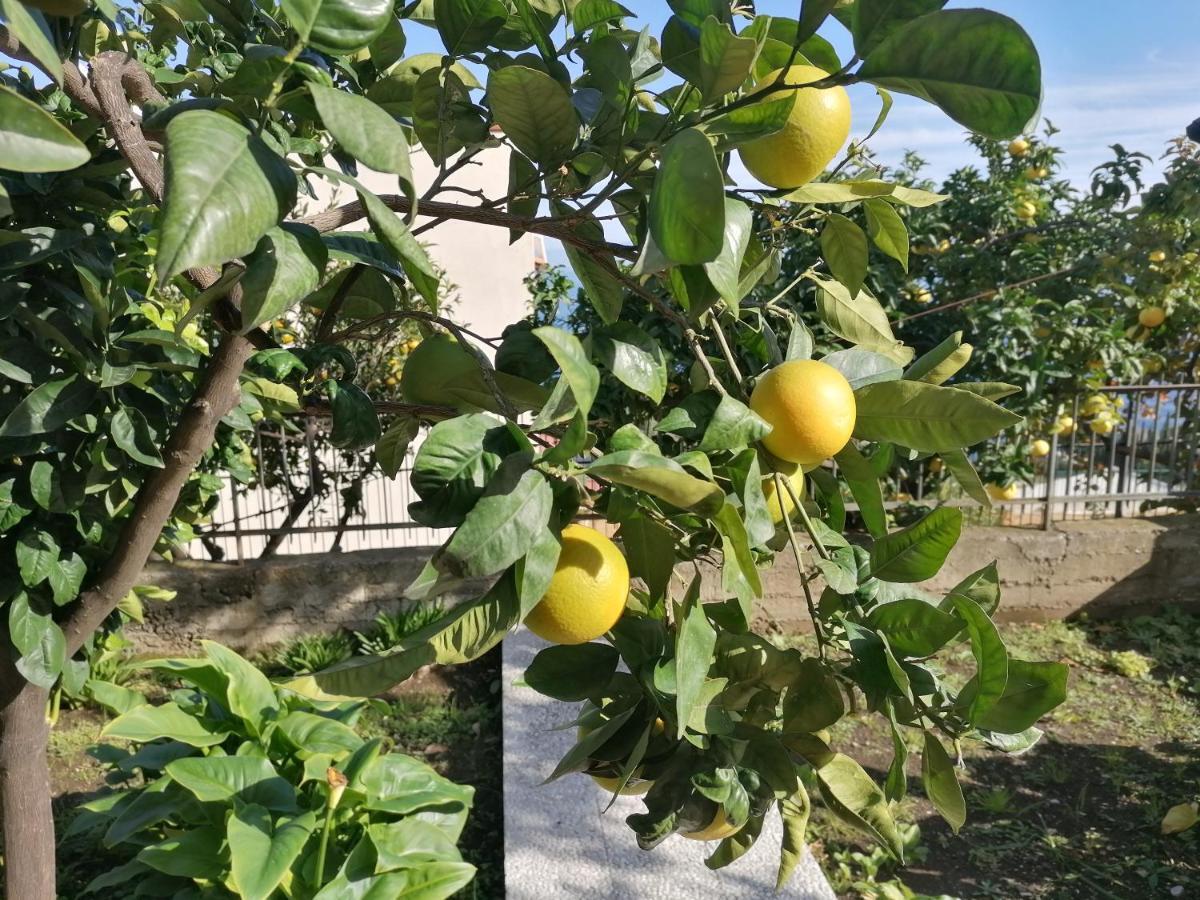 טאורמינה Villa Mariella מראה חיצוני תמונה